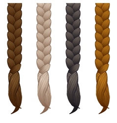 Assortment of female blond hair Royalty Free Vector Image