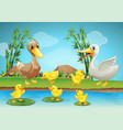 Mother duck and ducklings at the river Royalty Free Vector