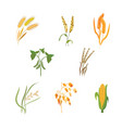 set of different types vector image