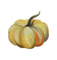 yellow pumpkin on a white background vector image