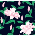 floral seamless pattern with peony flowers vector image