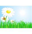 spring day vector image