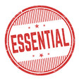 essential grunge rubber stamp vector image vector image