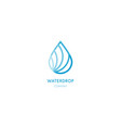 aqua logo template outline design abstract leaf vector image vector image