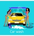 girl car wash flat concept icon vector image
