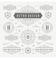 vintage ornaments decorations design vector image