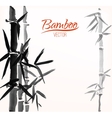 bamboo sumi-e ink painted card vector image vector image
