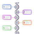 dna molecule concept abstract diagram vector image