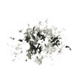 abstract ink splash vector image