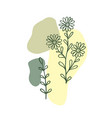 modern plant elements background 2 vector image vector image