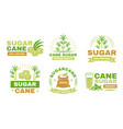 sugarcane labels sugar manufacturing emblems vector image vector image