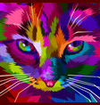 colorful cool cat eyes vector image vector image