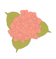 flower hydrangea isolated on white vector image
