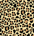 leopard seamless background vector image