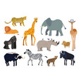 african animals set isolated cartoon vector image