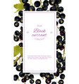 cherry vertical banner vector image vector image