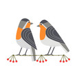 cute robin icon vector image vector image