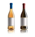red wine bottle set of white rose and wine vector image vector image