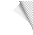 sheet white paper with curled upper right vector image vector image