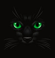 3d realistic green cats eye of a black cat vector image
