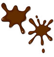 chocolate splash vector image