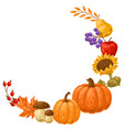 frame with autumn plants harvest vector image