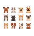 cute pets collection isolated on white background vector image vector image