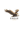 flying eagle vector image vector image