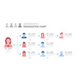 infographic template for organization chart vector image