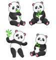 set of four pandas with bamboo vector image