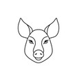 pig head in line art style vector image