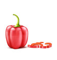 realistic red bell pepper vector image