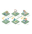 pharmaceutical isometric medicine production vector image