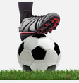 soccer ball with football player feet on grass vector image vector image