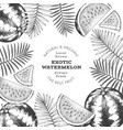 watermelon and tropical leaves design template vector image