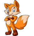 cute fox cartoon on white background vector image
