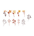 floral seamless pattern vector image vector image