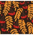 seamless rowan berries and leaves vector image