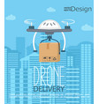 concept of the delivery by drone vector image