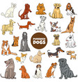 cartoon purebred dog characters large set vector image