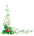 holly vector image