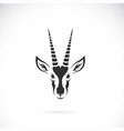 spekes gazelle design on white background vector image vector image