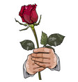 painted red rose in the hands of a man on white vector image