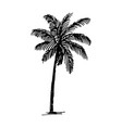 hand drawn sketch of palm logo vector image