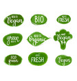 lettering eco green nature organic vegan vector image