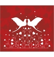pair of doves in love vector image