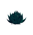 agave americana century plant isolated cactus icon vector image