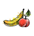 ink drawing banana and peach vector image vector image