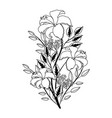 floral tropical cartoon vector image