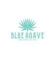 Blue agave logo Royalty Free Vector Image - VectorStock